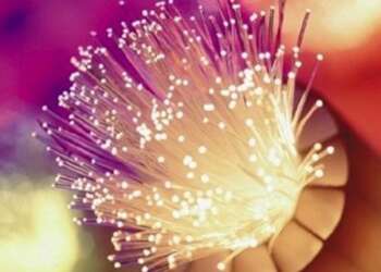 Internet de Movistar está sin enlace internacional en gran parte de Latinoamérica
