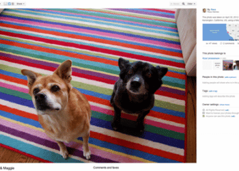 Nueva interfaz de Flickr calcula el tamaño de las pantallas