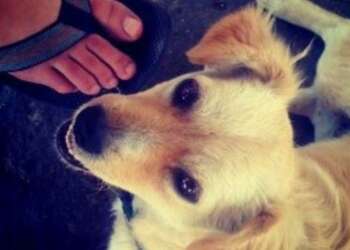 La primera fotografí­a de Instagram cumplió 2 años