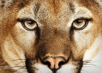 Descubren un nuevo troyano para el recién estrenado Mountain Lion