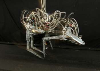 Cheeta: el robot que puede superar a Usain Bolt