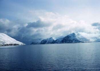 Los océanos parecen determinar la composición de las poblaciones microbianas