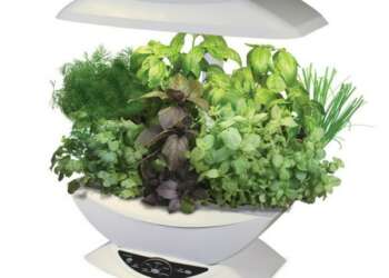 Aerogarden, el invernadero y huerto eléctrico que funciona con tecnología aeropónica