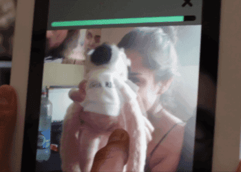 Video: ¿Qué es y cómo funciona Vine? La plataforma de micro-videos de Twitter