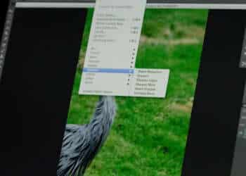 Adobe anuncia para junio el nuevo Photoshop CC