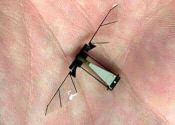 Científicos construyen una mosca robot que podría ayudar a equipos de rescate en misiones de salvamento
