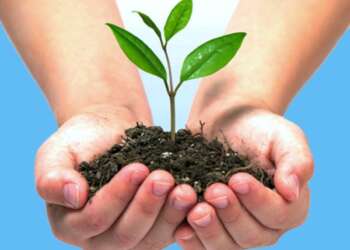 Green StartUp 2013 premiará los mejores emprendimientos medioambientales