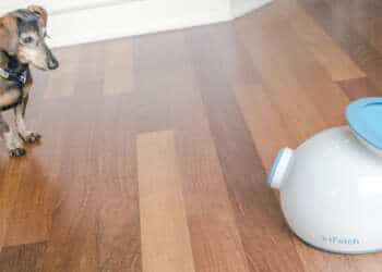 iFetch, el lanza bolas que sirve para ejercitar a tu perro
