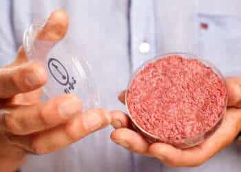 carne sintética