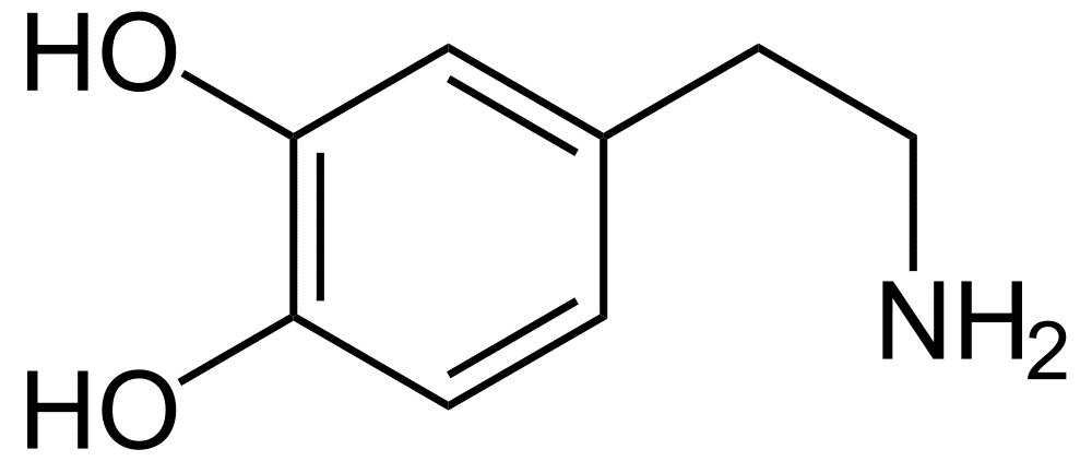 Dopamina Efectos del azúcar - Composición de la Dopamina.