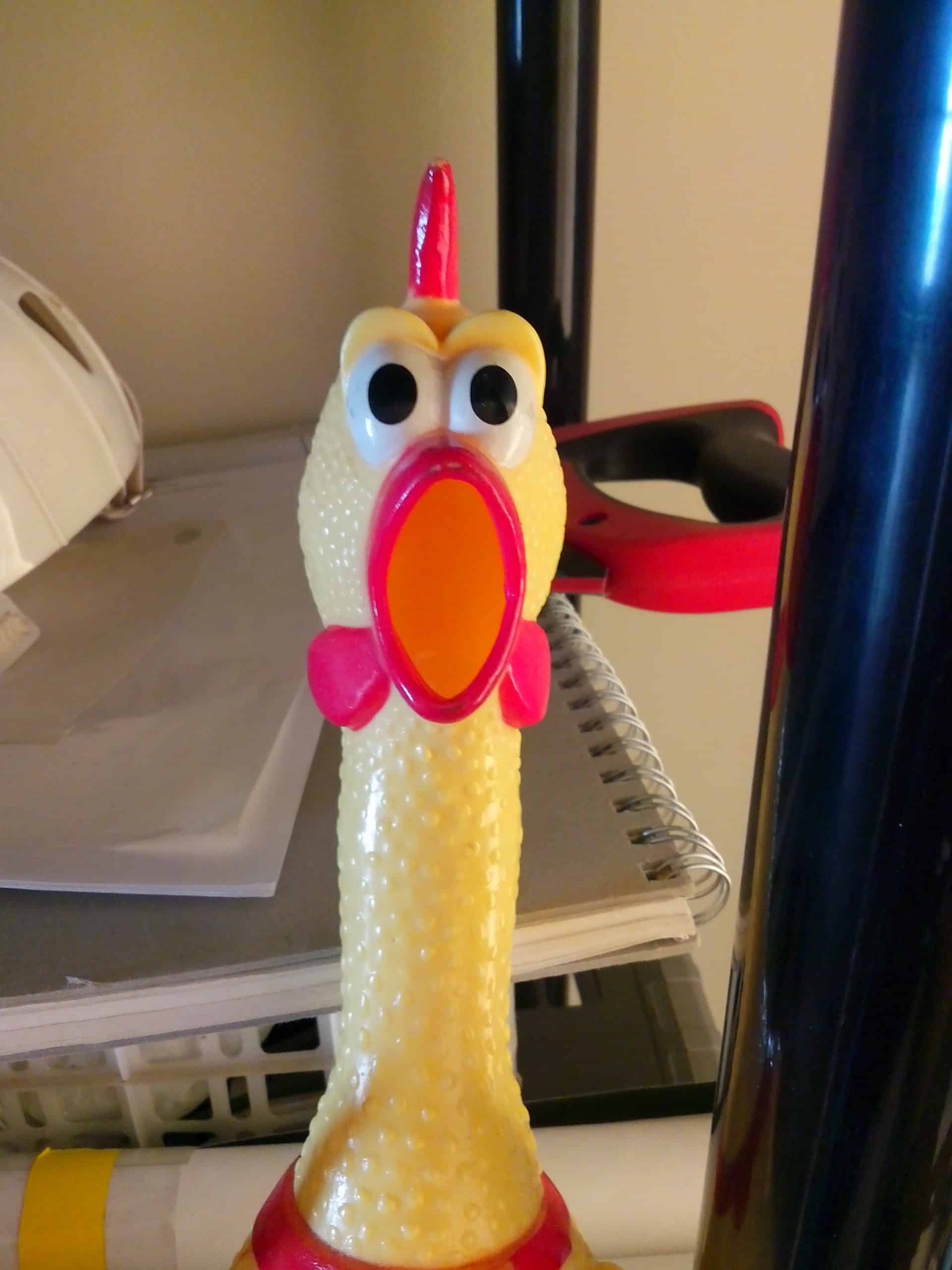 Fotografí­a detalle capturada capturada por el equipo.