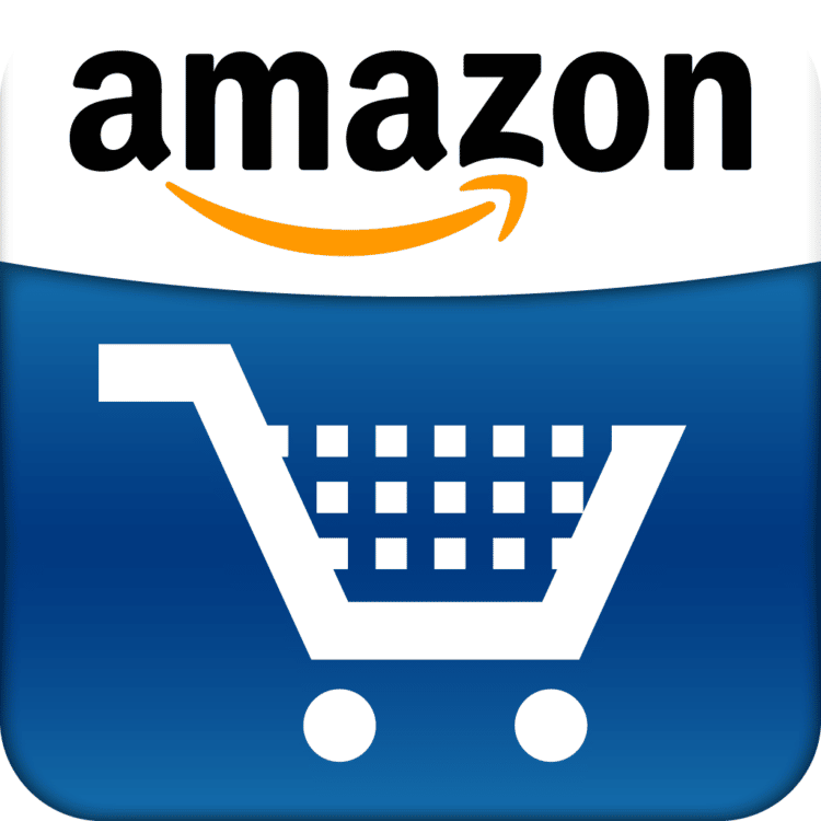 Amazon es la empresa número 1 en ventas en Internet.