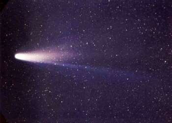 cometa Halley