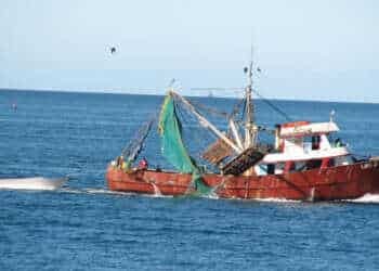 Global Fishing Watch