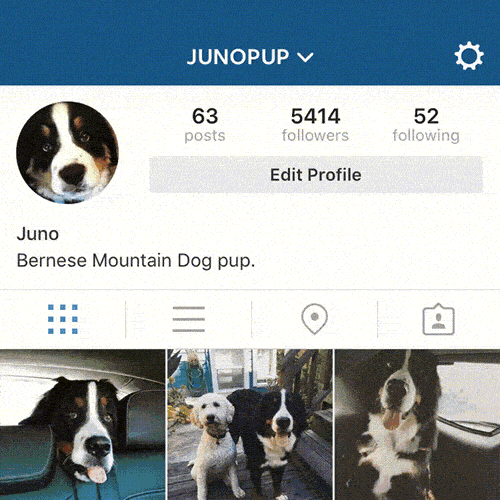 Cambiando perfiles de Instagram Ejemplo