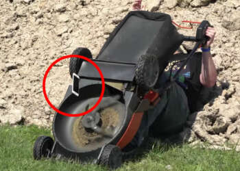 cortadora de césped