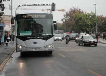 buses eléctricos