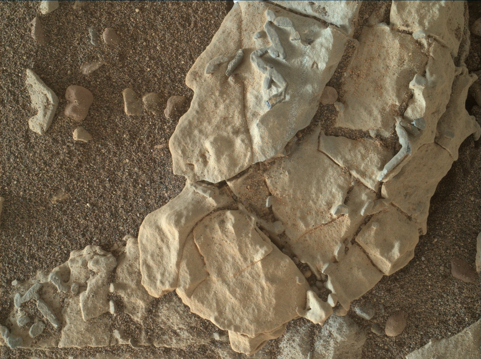 Cientí­fico británico dice que la NASA esconde evidencias de fósiles en Marte