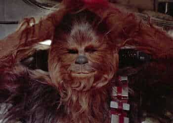 Chewbacca