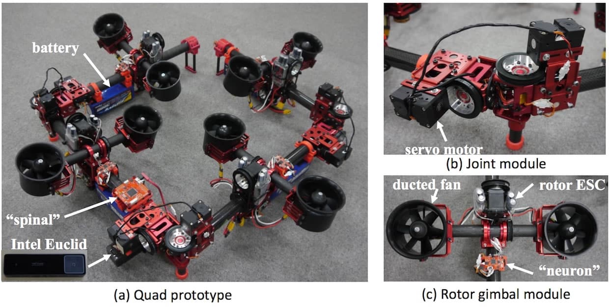 Drone Dragón: un vehí­culo no tripulado que cambia su forma solo