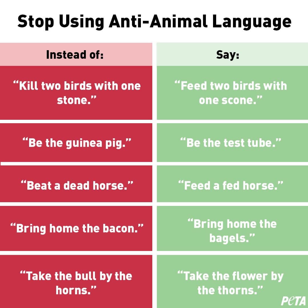 Peta Frases Anti Animales PETA quiere que no uses frases anti-animales cuando te expreses