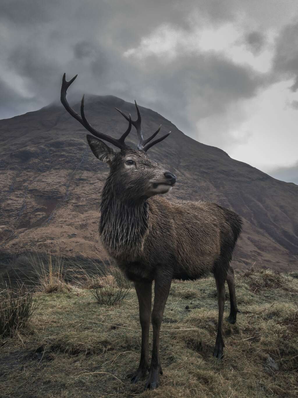 Ej Foto Nokia Pureview Scaled Nokia 9 PureView