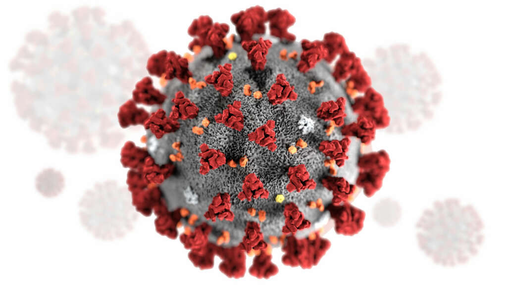 Estudio sugiere que el Coronavirus no fue creado en un laboratorio.