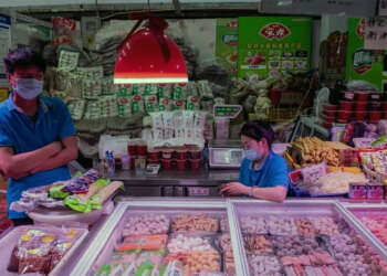 productos congelados