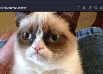 Dominio Meme - .meme