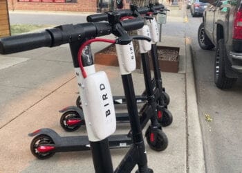 Bird Scooters - Bird