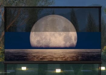 Lg Signature Oled T - TV transparentes, OLED T