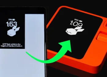 Rabbit R1 Android App
