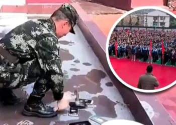 Escuela China Celular Martillazos - celular