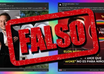 Disney Pride X Elon Musk - Disney Pride, Elon Musk