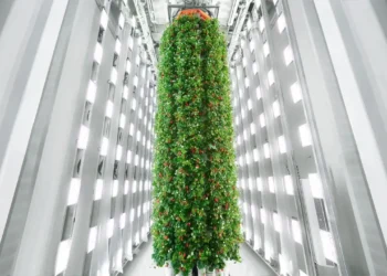 Granja Vertical Fresas Plenty - granja vertical