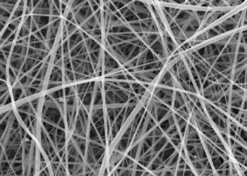 Ucl Spaghetti Investigacion - spaghetti