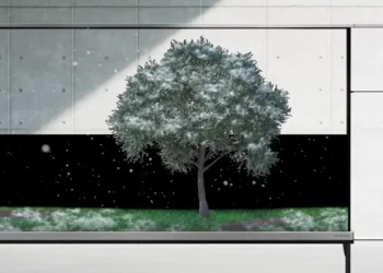 Lg Signature Oled T Transparente - transparente