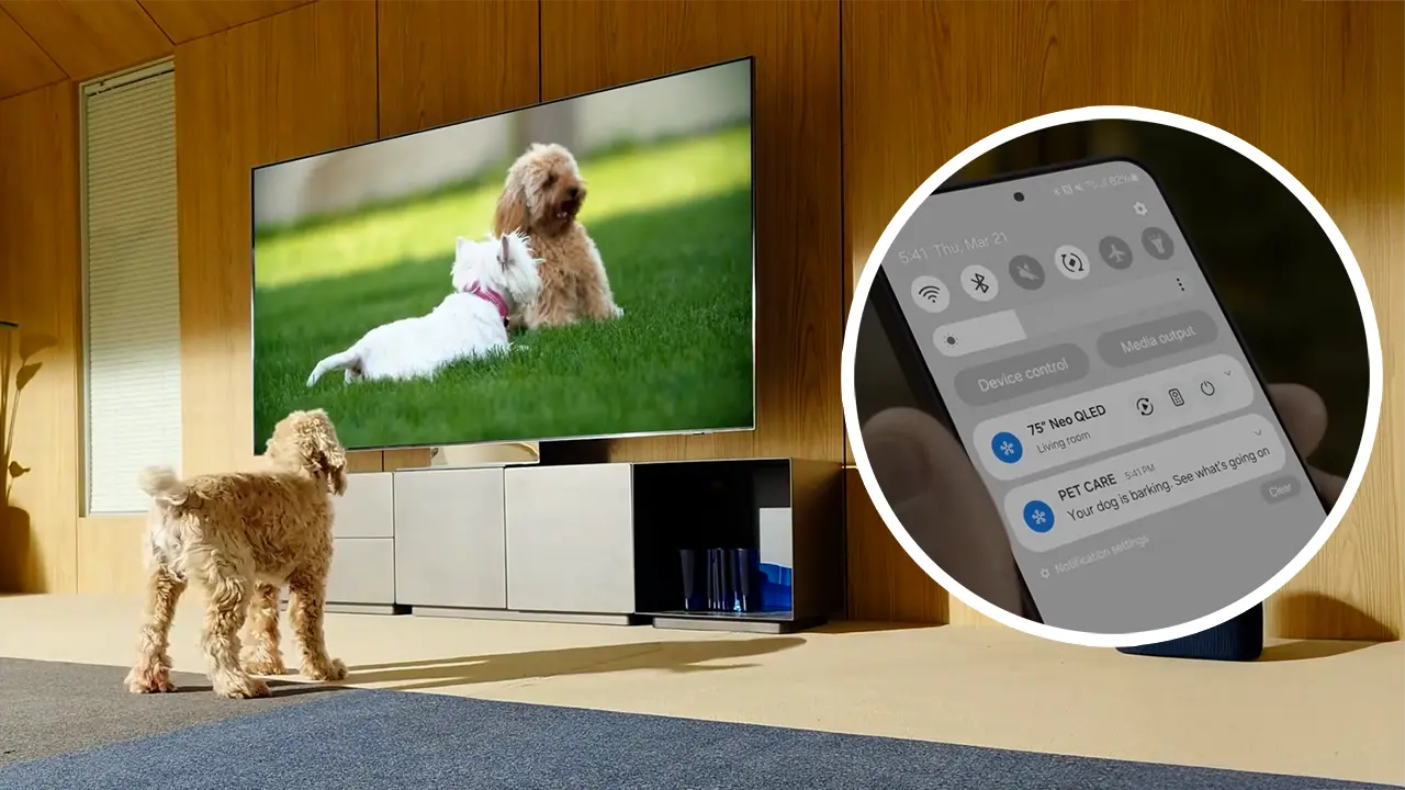 Pet Care Samsung Televisores 2025 - televisor