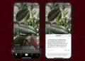 Tiktok Footnotes - footnotes