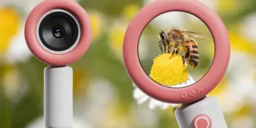 Dex Camara Ia Idiomas