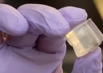 Jelly Ice Hielo Que No Se Derrite - hielo