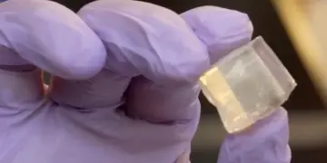 Jelly Ice Hielo Que No Se Derrite - hielo