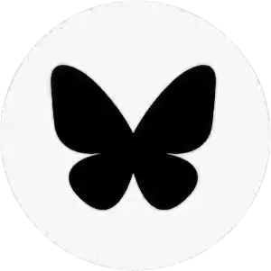 Social Pagina Bluesky