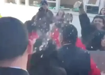 Ministra Ciencias Ximena Lincolao Agredida Valdivia