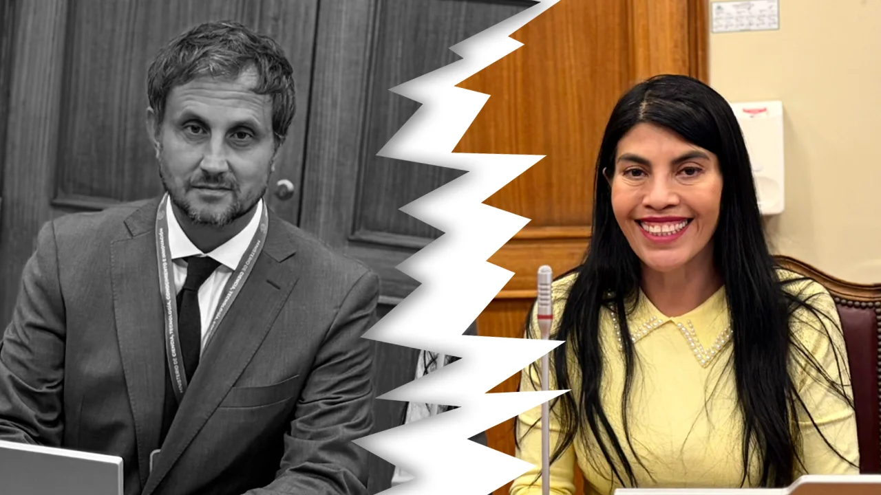 rafael araos subsecretario de ciencias renuncia