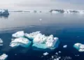 Antartica