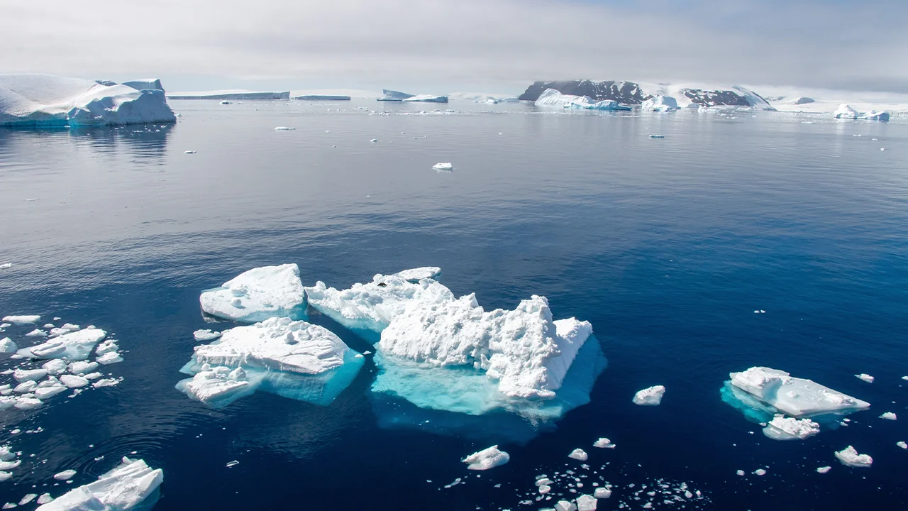 Antartica